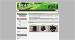 Desktop Screenshot of mojarrab.com